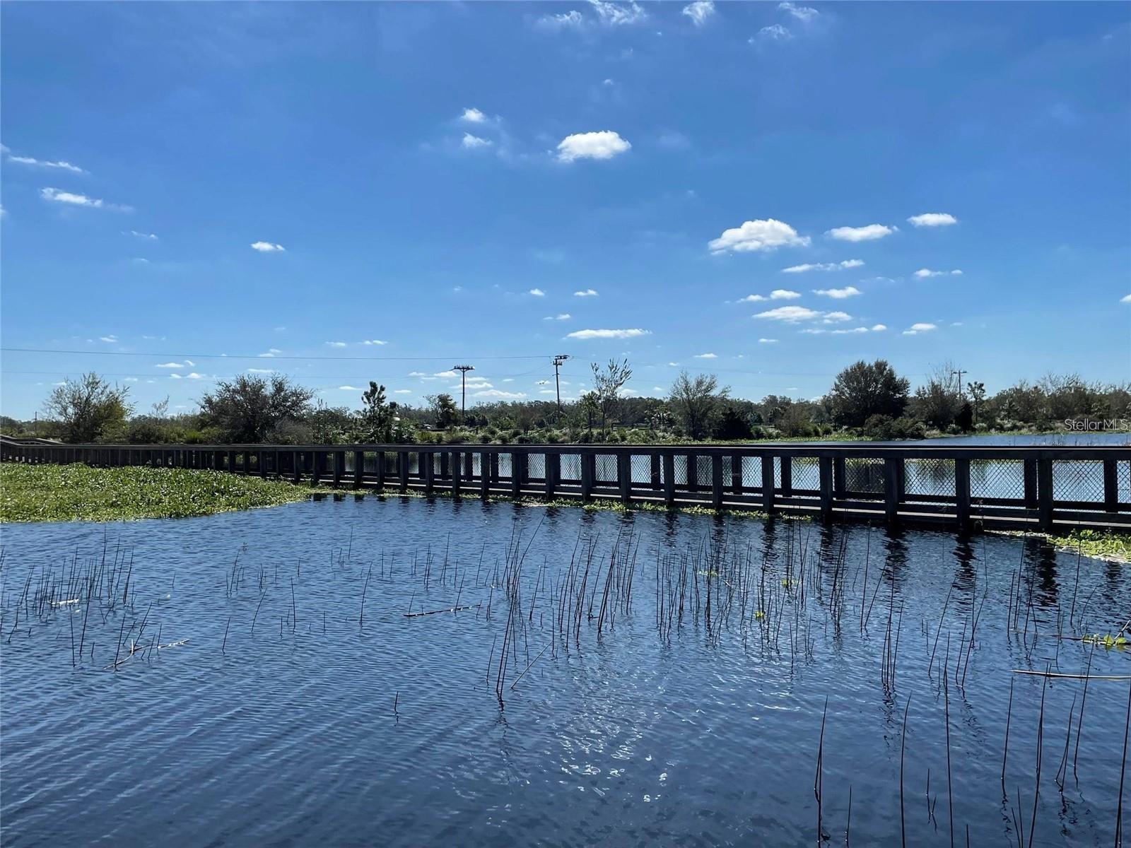 PALMER LAKE - Residential