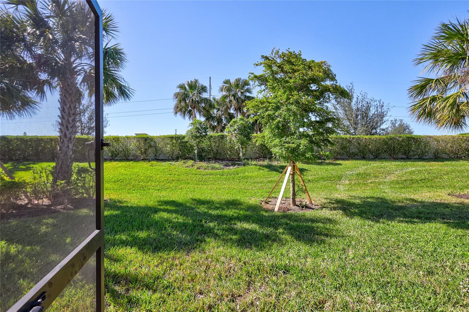 HAMMOCK PRESERVE PH 2A & 2B - Residential