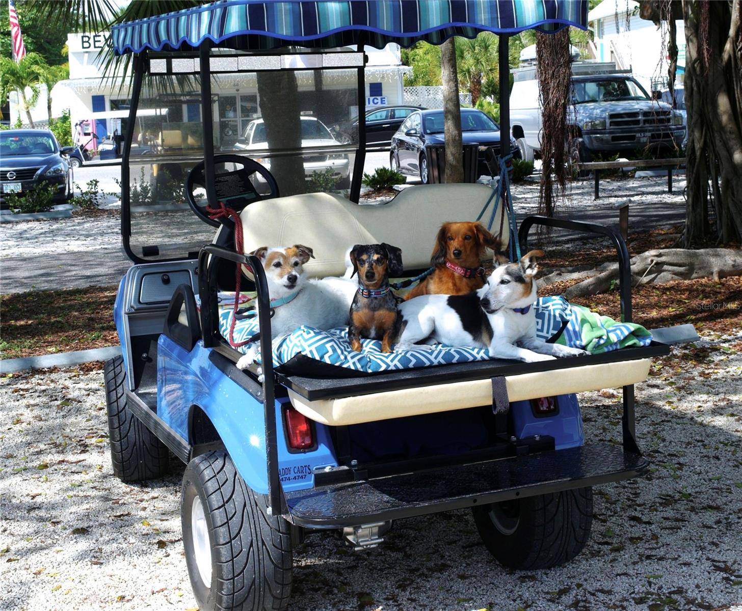 ACREAGE & UNREC - Residential