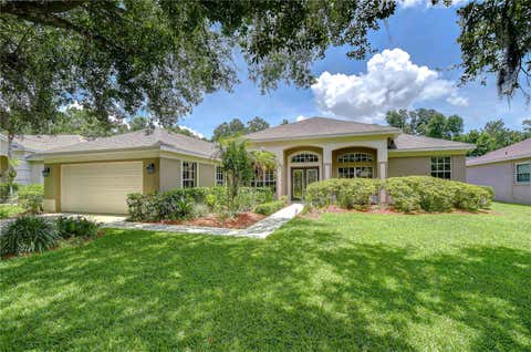 Photo of 3512 Cordgrass Drive, Valrico, FL 33596 (MLS # TB8519743)