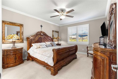 Tiny photo for 6776 SW 95th Circle, Ocala, FL 34481 (MLS # OM720649)