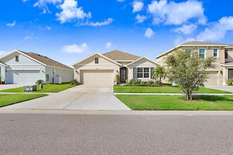 A home in RIVERVIEW