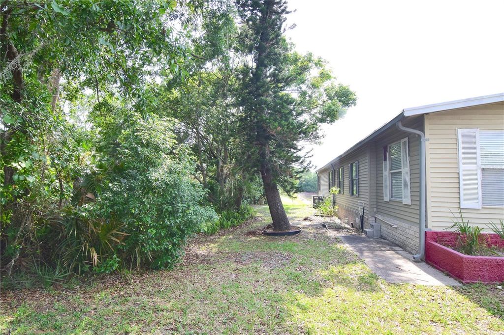 Photo of 4180 Sugar Palm Terrace, Oviedo, FL 32765 (MLS # O6311284)