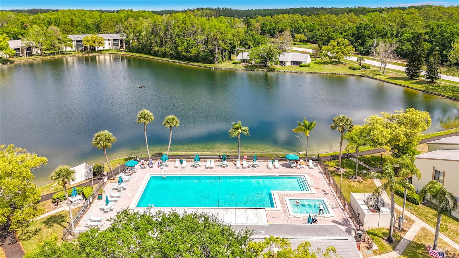 PINE RIDGE AT LAKE TARPON VILLAGE - Residential