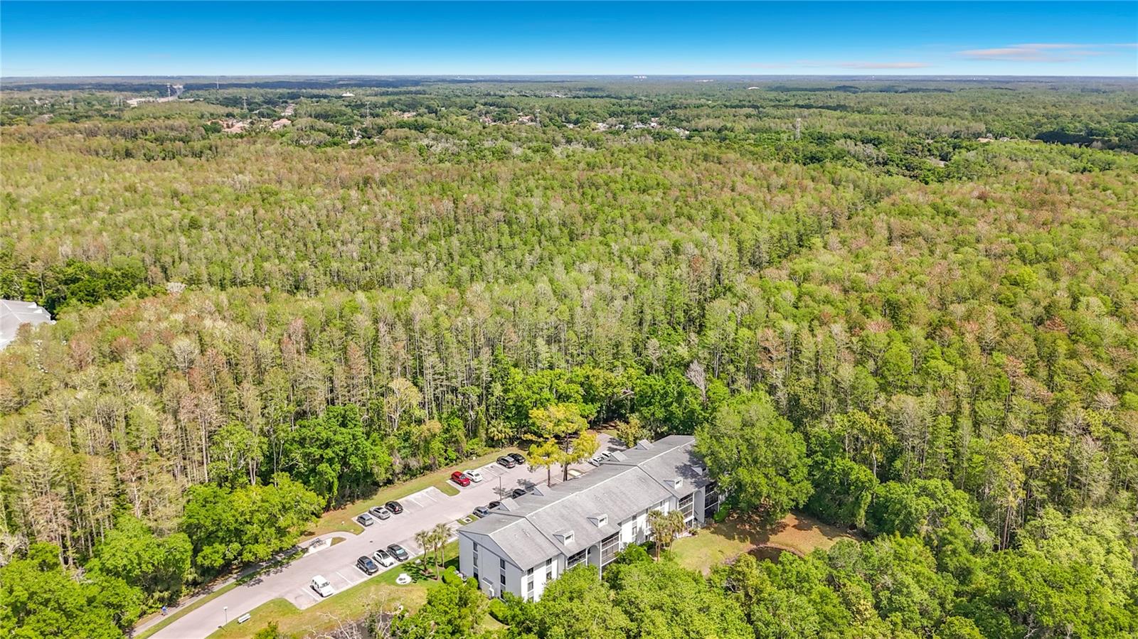 PINE RIDGE AT LAKE TARPON VILLAGE - Residential