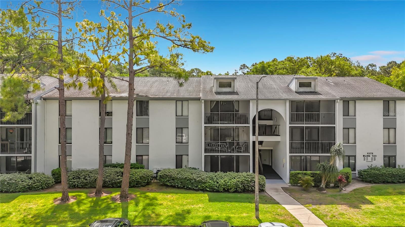 PINE RIDGE AT LAKE TARPON VILLAGE - Residential