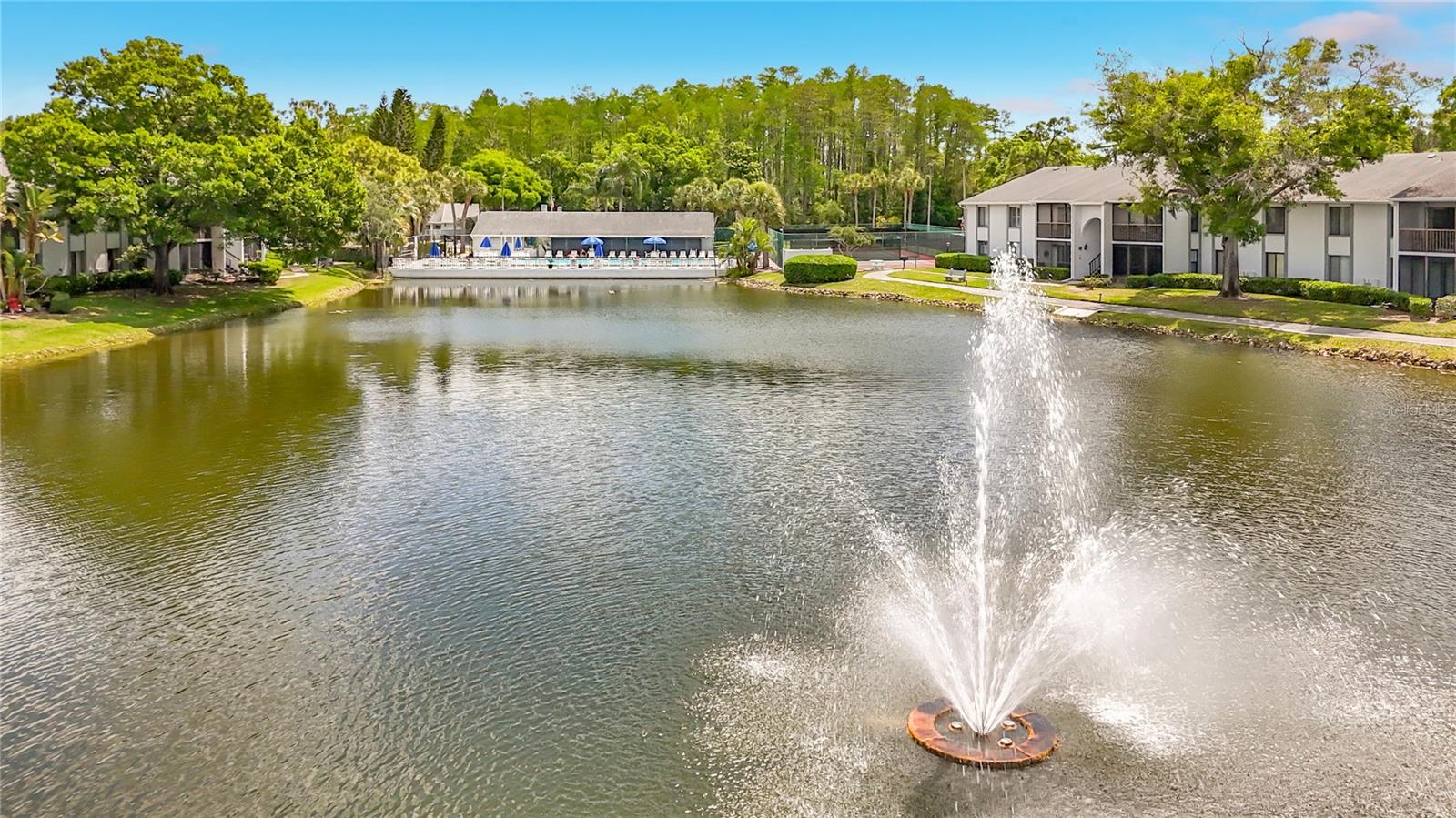 PINE RIDGE AT LAKE TARPON VILLAGE - Residential