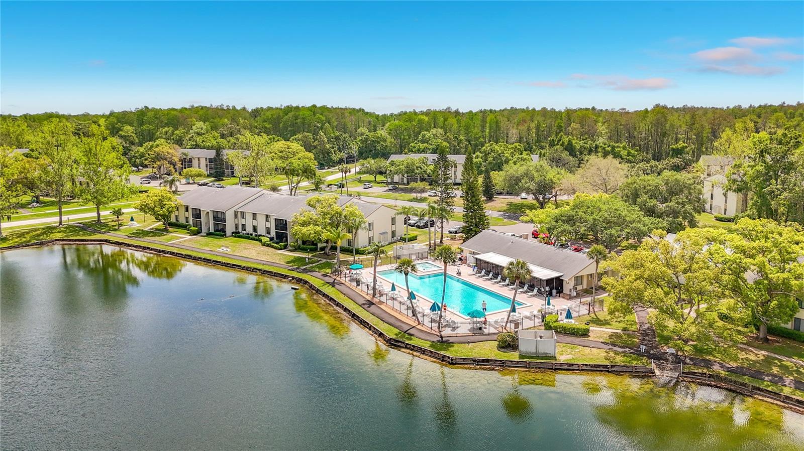 PINE RIDGE AT LAKE TARPON VILLAGE - Residential