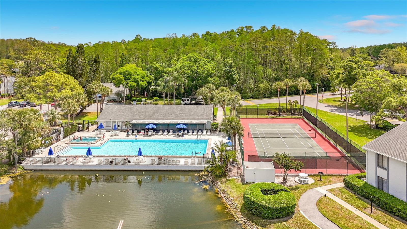 PINE RIDGE AT LAKE TARPON VILLAGE - Residential