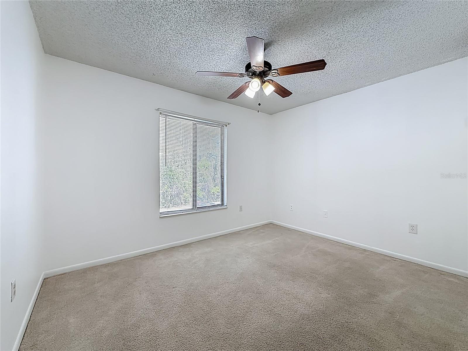 PINE RIDGE AT LAKE TARPON VILLAGE - Residential