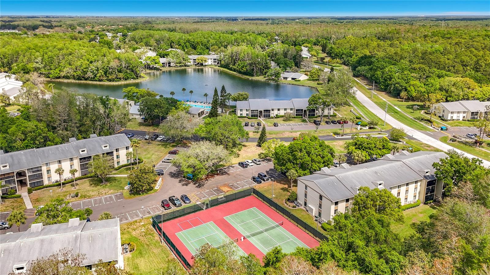 PINE RIDGE AT LAKE TARPON VILLAGE - Residential