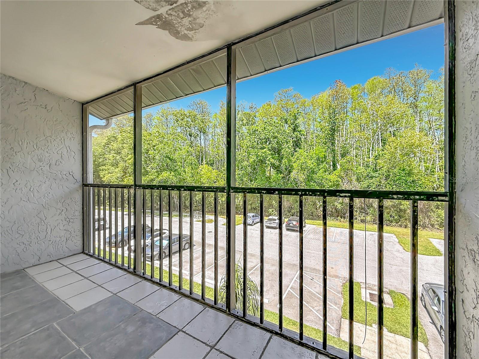 PINE RIDGE AT LAKE TARPON VILLAGE - Residential