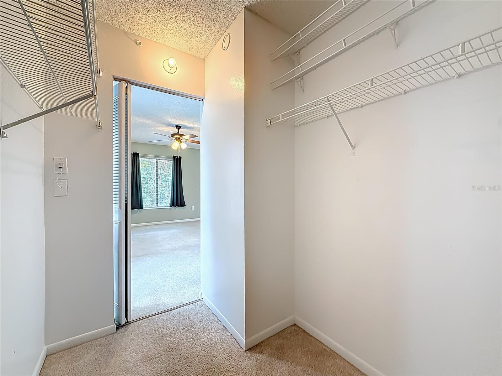 PINE RIDGE AT LAKE TARPON VILLAGE - Residential