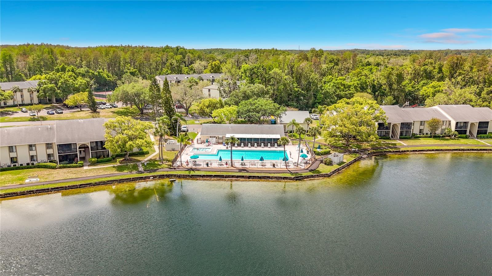 PINE RIDGE AT LAKE TARPON VILLAGE - Residential