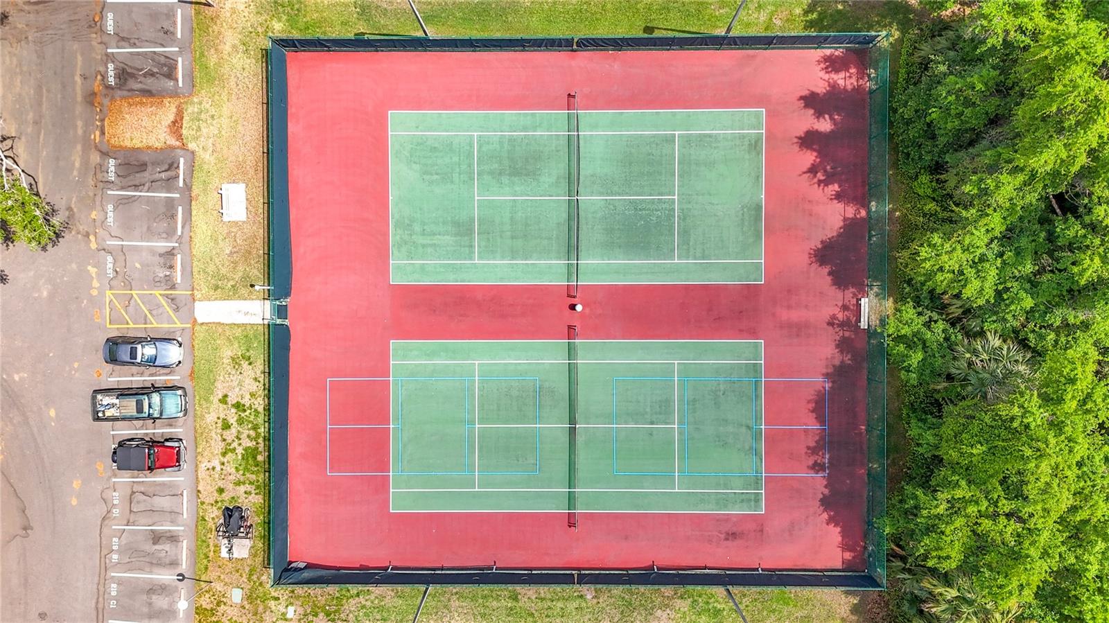 PINE RIDGE AT LAKE TARPON VILLAGE - Residential