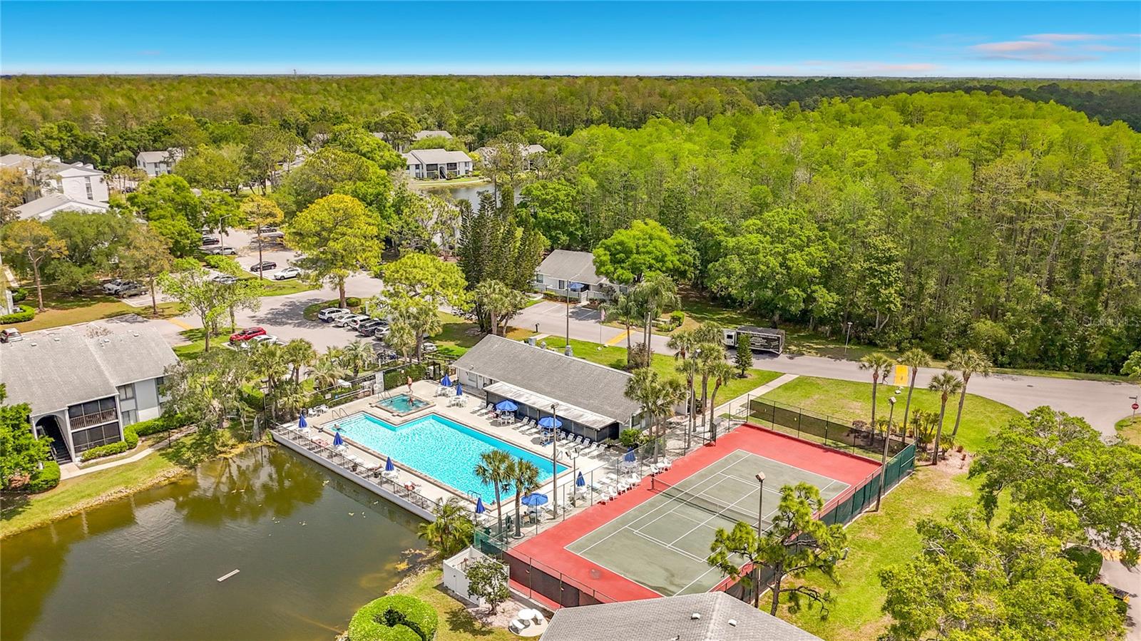 PINE RIDGE AT LAKE TARPON VILLAGE - Residential