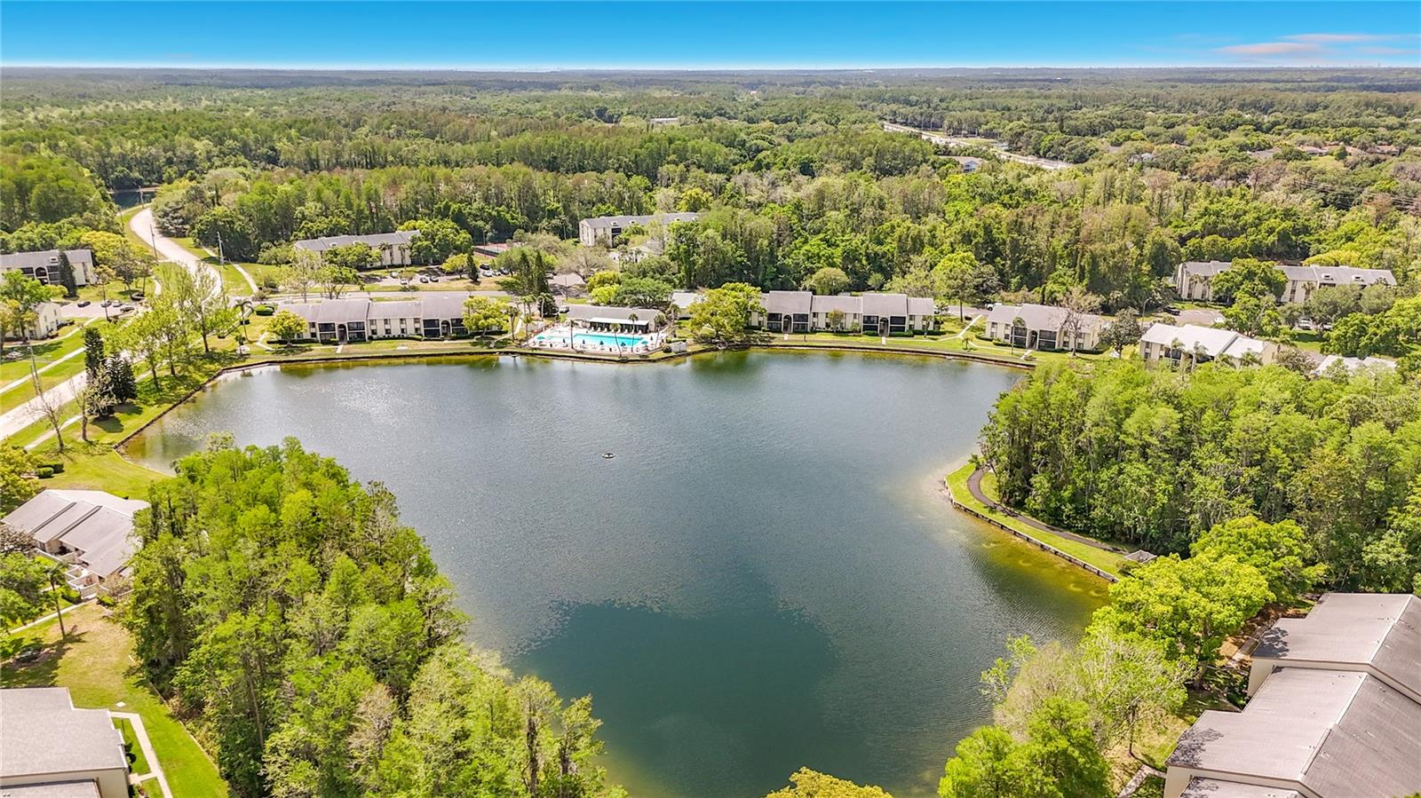 PINE RIDGE AT LAKE TARPON VILLAGE - Residential