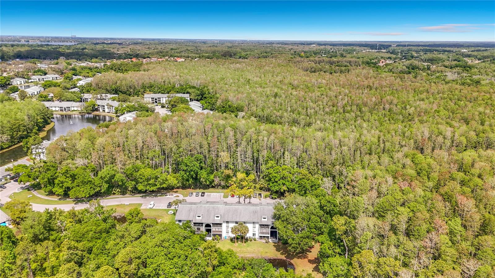 PINE RIDGE AT LAKE TARPON VILLAGE - Residential