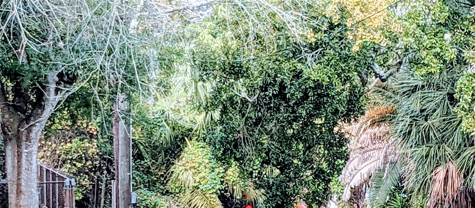 BUFFALO HEIGHTS - Residential Lease