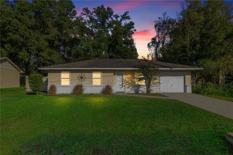 A home in BELLEVIEW