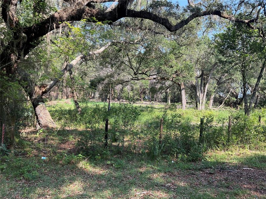 Beautiful 4 Acres for you next Home.   Close to The Villages      Nice Trees,  partially cleared.   Electric pole on property.