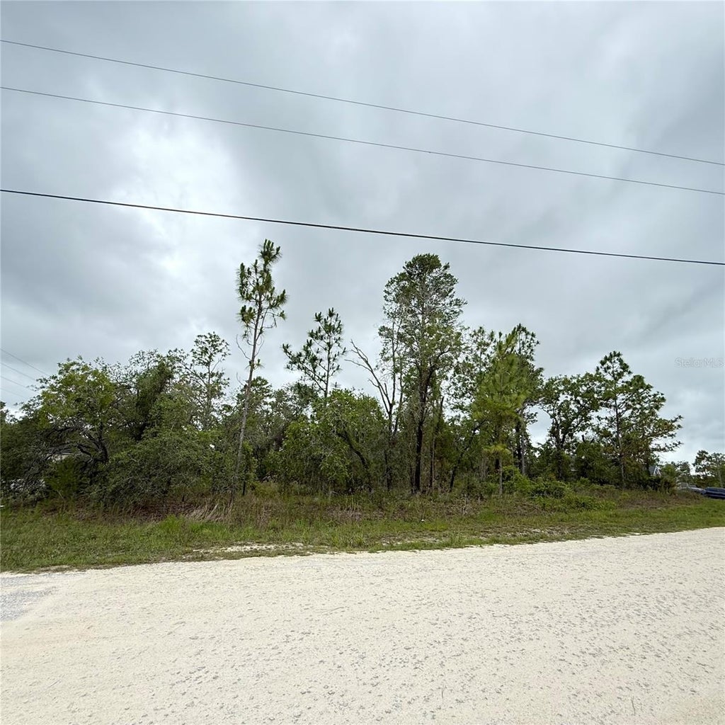 Photo of 11200 Marvelwood Road, Weeki Wachee, FL 34614 (MLS # TB8530052)