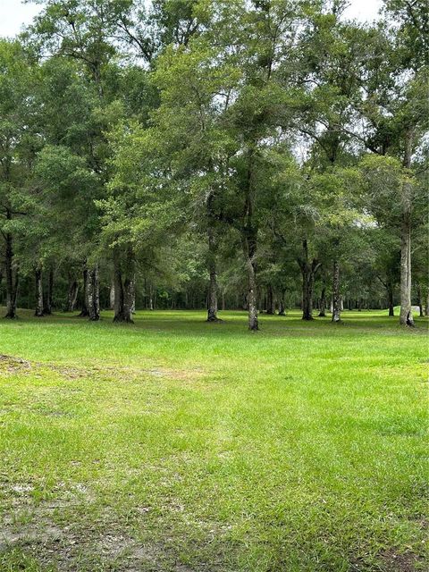 A home in BROOKSVILLE