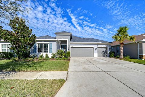 A home in LITHIA