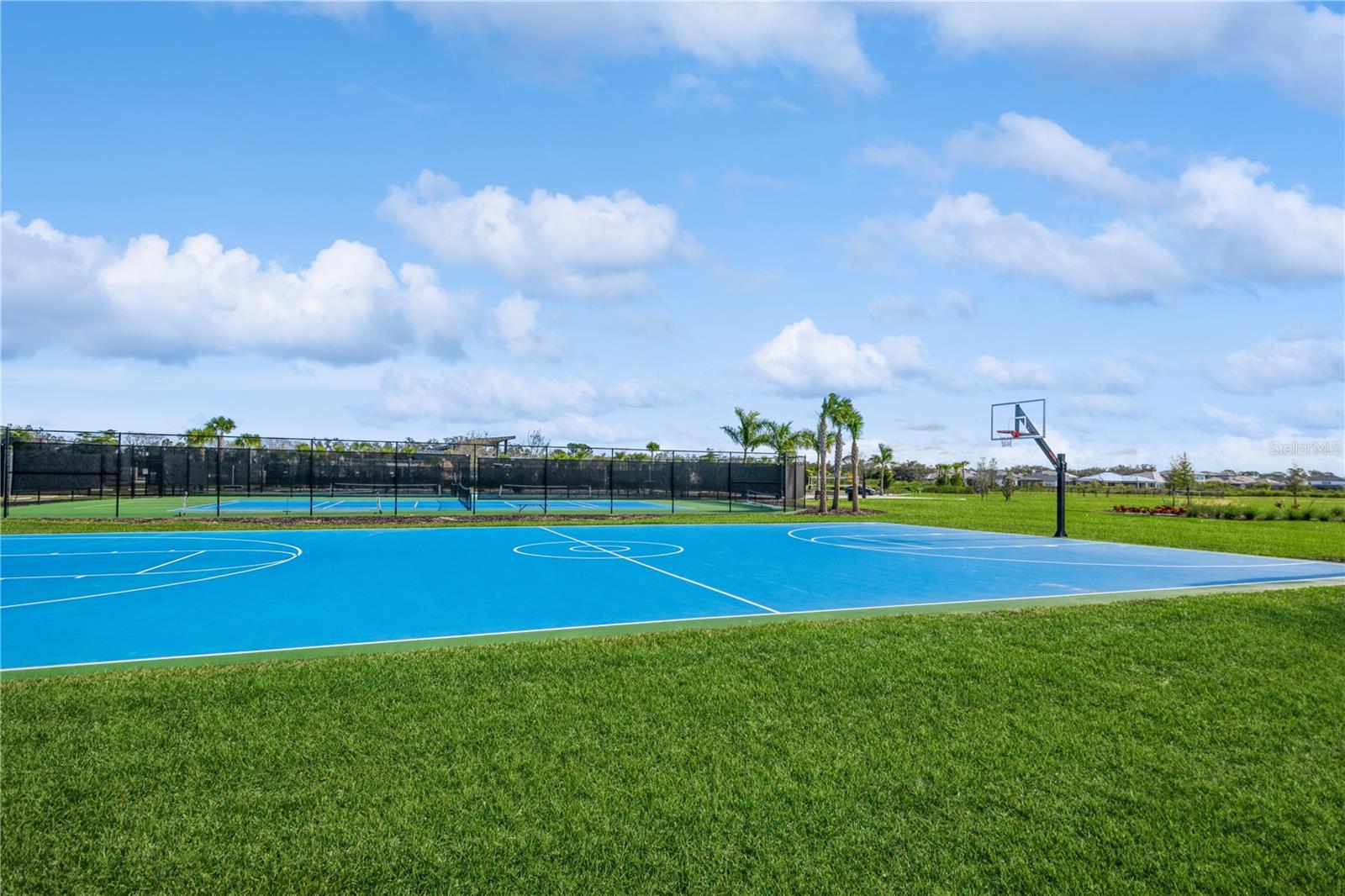 LOT 2528, SKYE RANCH NEIGHBORHOOD TWO TOWNHOMES NO - Residential Lease