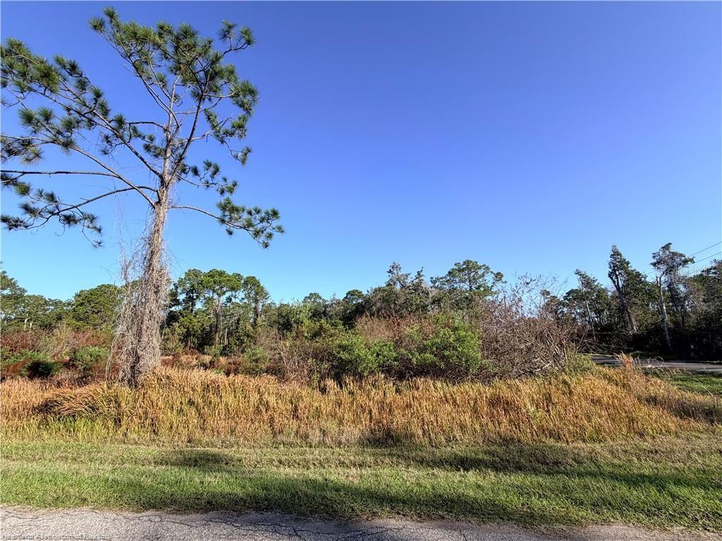 Photo of 5009 Cortez Boulevard, Sebring, FL 33872 (MLS # P4939207)