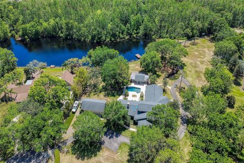 Photo of 898 Cypress Lakeview Court, Tarpon Springs, FL 34688 (MLS # TB8373831)