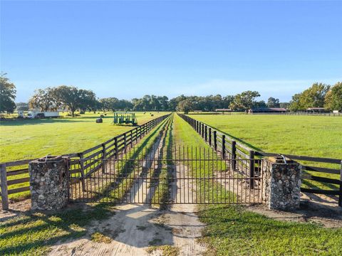 Photo of Tbd SW 100th Street, Ocala, FL 34476 (MLS # OM712232) Photo of Tbd SW 100th Street, Ocala, FL 34476 (MLS # OM712232)