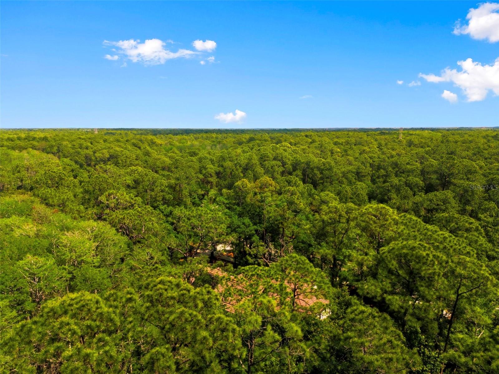 RIDGEMOOR - Residential