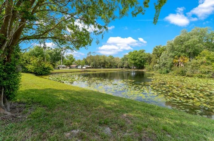 VILLAS OF NORTHDALE PHASE 1 - Residential