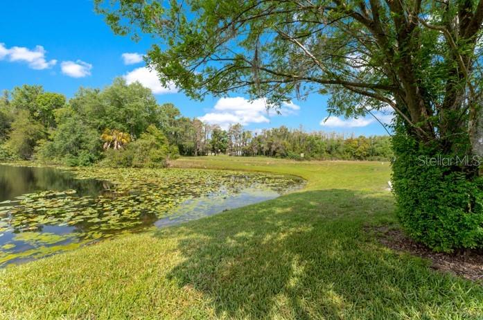 VILLAS OF NORTHDALE PHASE 1 - Residential