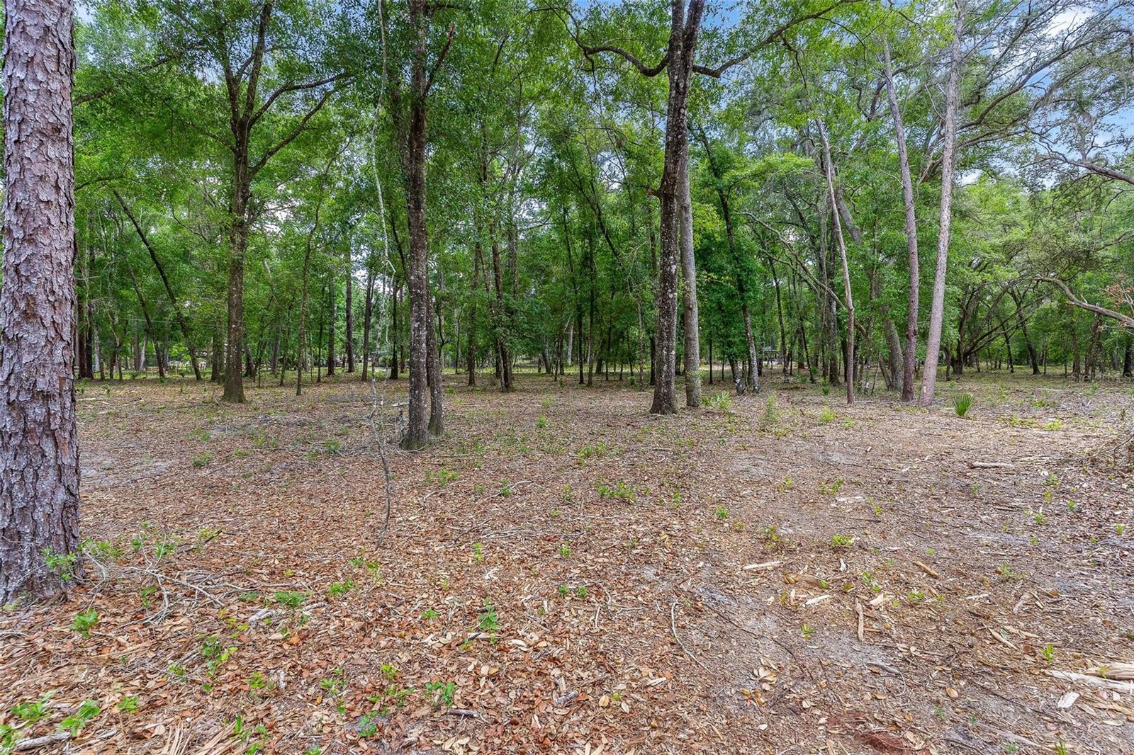 SE 152ND - LOT 16 (RAVENSWOOD RD) PARCEL B PLACE