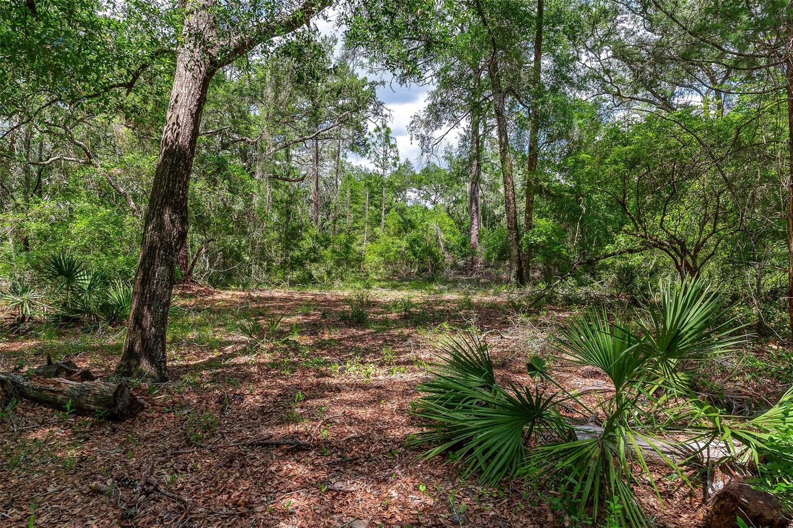 SE 152ND - LOT 16 (RAVENSWOOD RD) PARCEL B PLACE