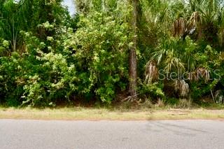 BUSHNELL AVENUE