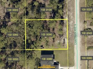 Photo of 848 Chapman Avenue S, Lehigh Acres, FL 33974 (MLS # TB8557622)