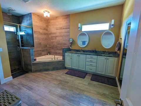 Tiny photo for 19221 Baker Road, Umatilla, FL 32784 (MLS # G5114788)