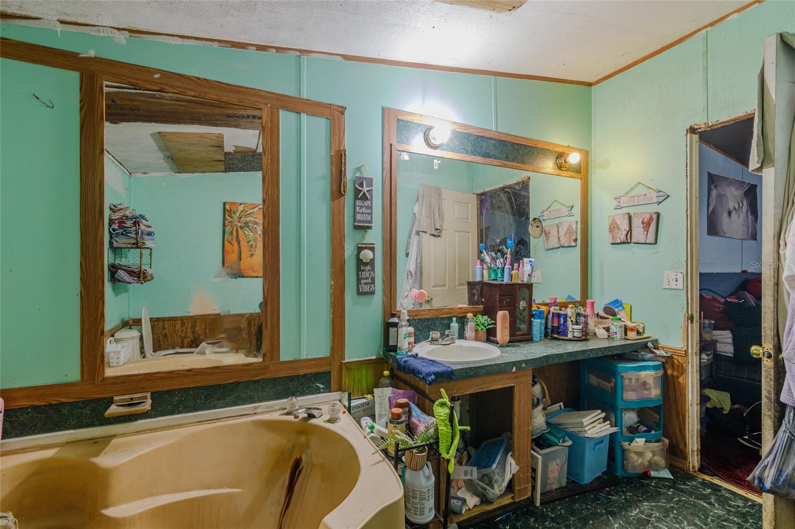 CHIPPENA CHIEF HAMMOCK - Residential