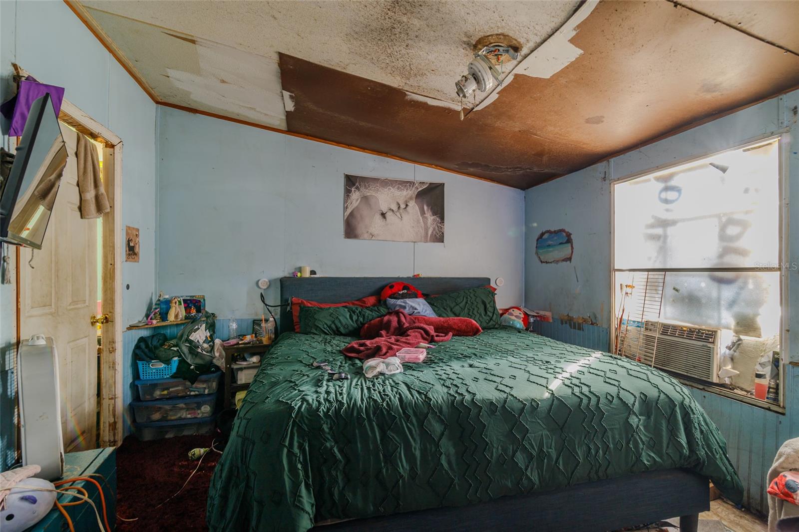 CHIPPENA CHIEF HAMMOCK - Residential