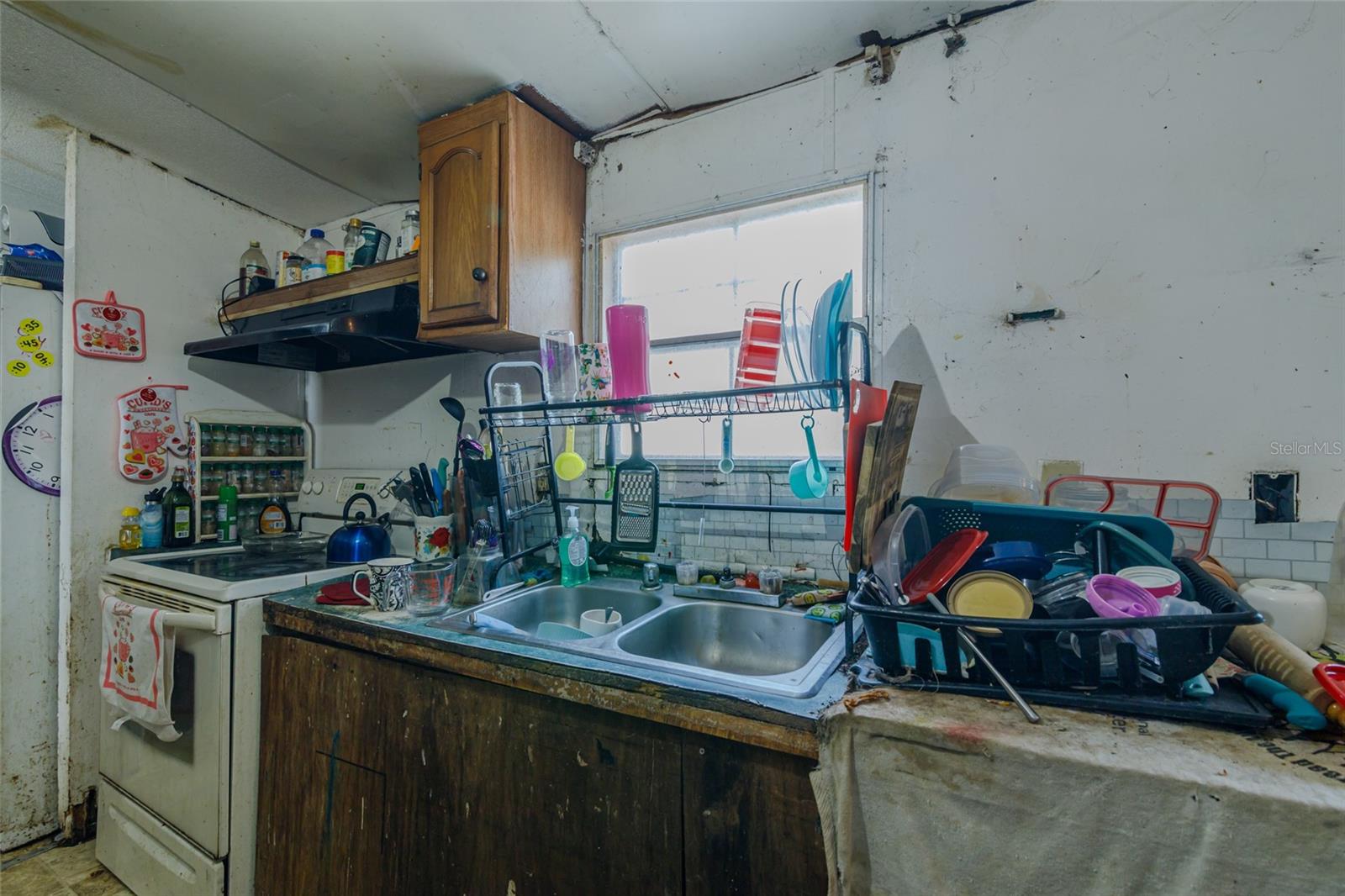 CHIPPENA CHIEF HAMMOCK - Residential