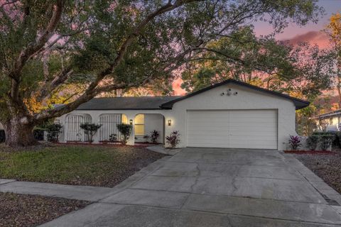 A home in OCOEE