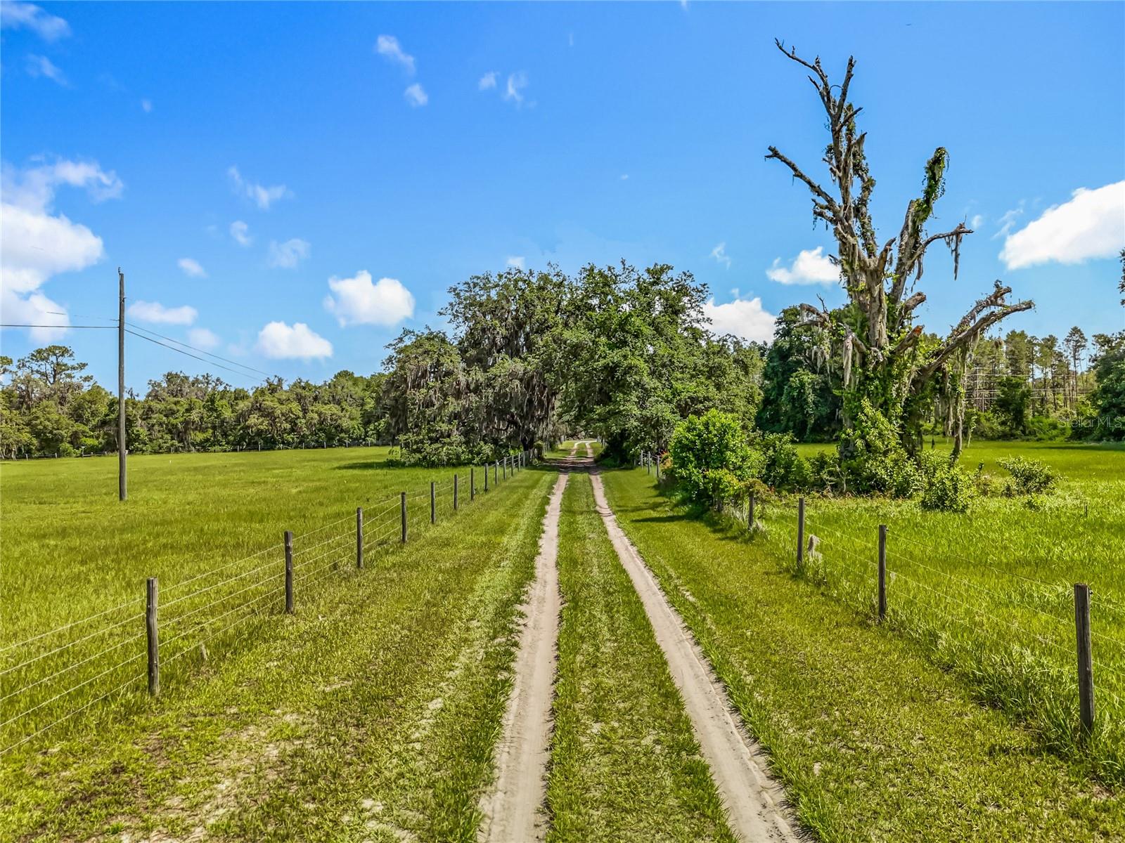 41204 EMERALDA ISLAND ROAD