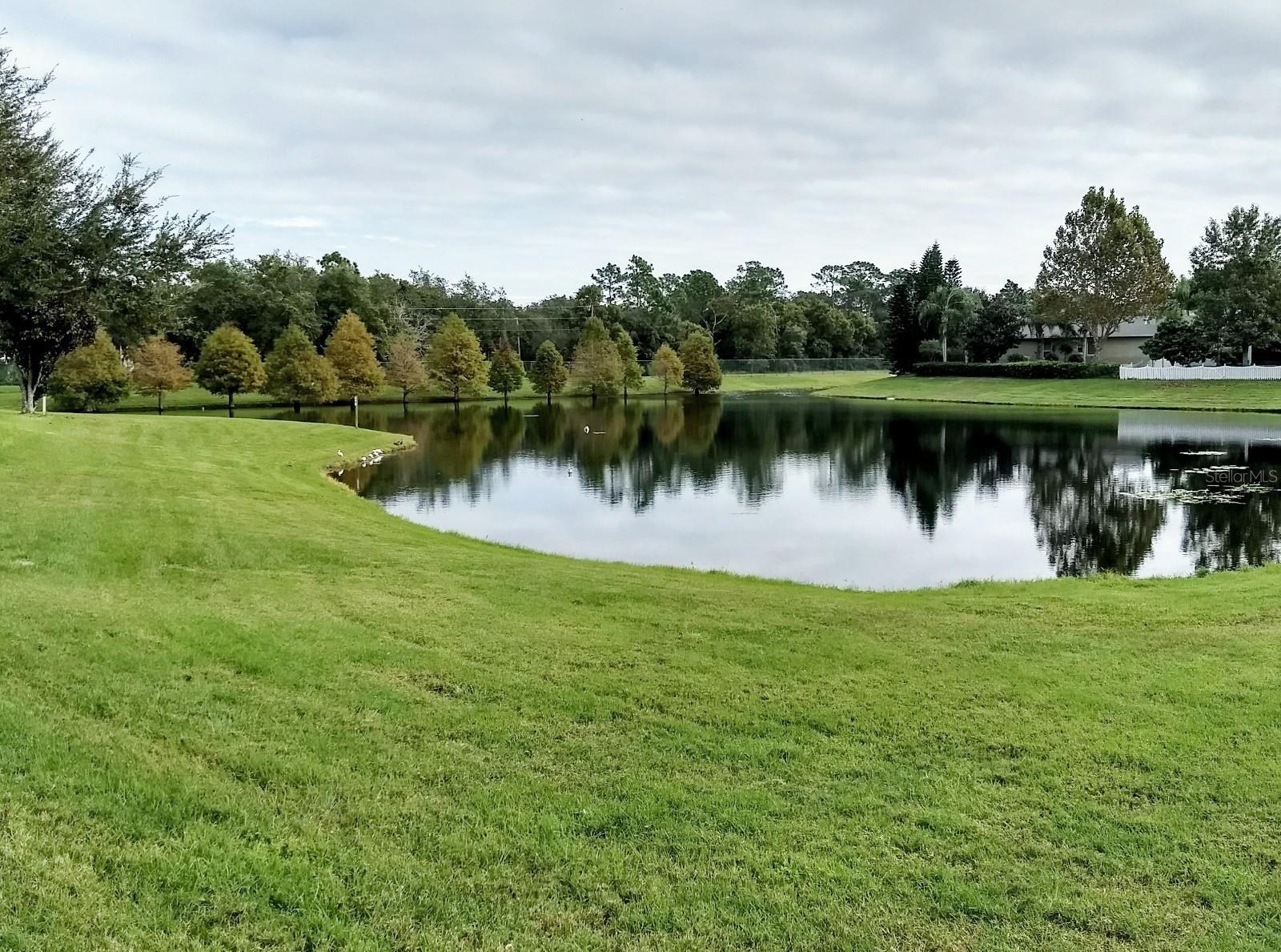 CYPRESS HEAD AT THE ENCLAVE - Residential