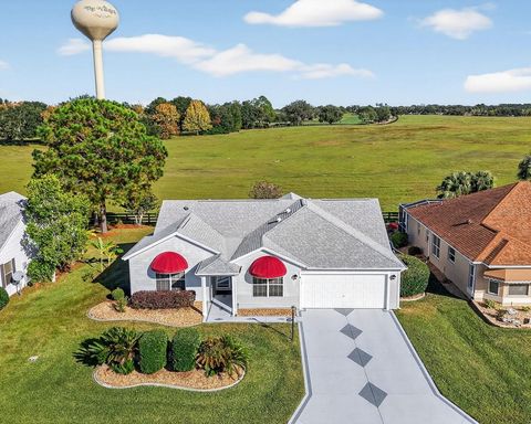 1229 AUGUSTINE DRIVE THE VILLAGES FL 32159