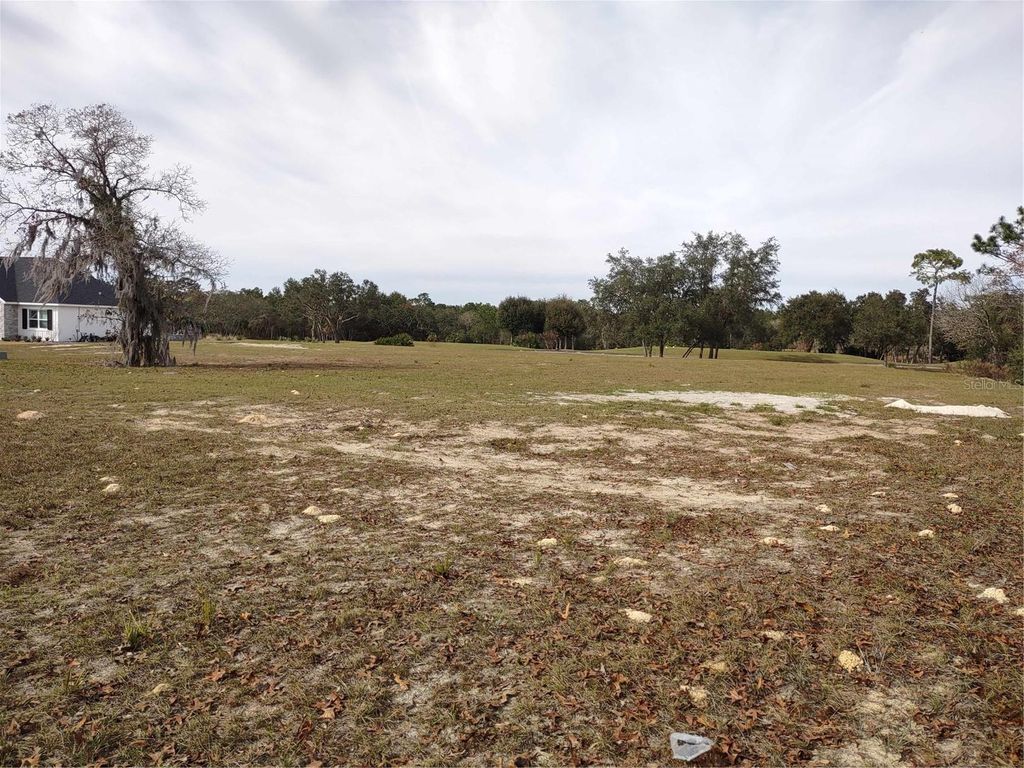 Photo of 6400 SW 180 Circle #Lot 29, Dunnellon, FL 34432 (MLS # GC518581)