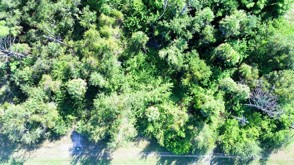 Photo of 197 Cougar Way, Rotonda West, FL 33947 (MLS # C7518423)