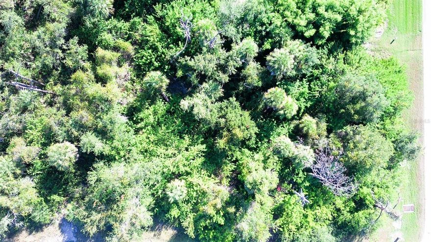 Here's your opportunity to own a spacious vacant lot in the peaceful community of Rotonda West. Combine this lot with the adjacent lot and you'll have a very spacious 0.58 acres which provides ample space to design and build your dream home exactly the way you want it. The lot is conveniently located, allowing for easy access to local amenities, golf courses, beaches, and more. Take advantage of this blank canvas to craft your ideal Florida lifestyle.This lot is being sold with 199 Cougar Way